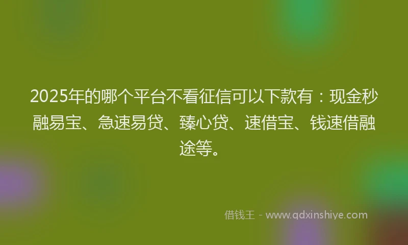 2025年的哪个平台不看征信可以下款有：现金秒融易宝、急速易贷、臻心贷、速借宝、钱速借融途等。