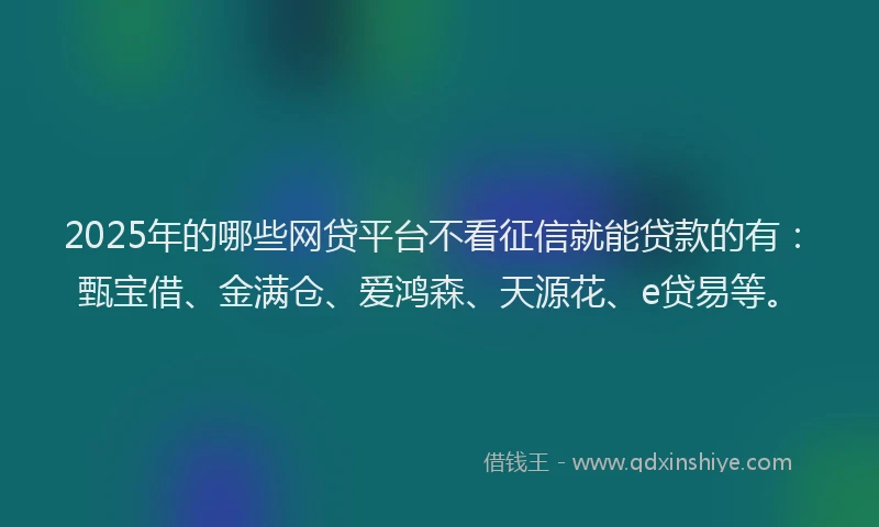 2025年的哪些网贷平台不看征信就能贷款的有：甄宝借、金满仓、爱鸿森、天源花、e贷易等。