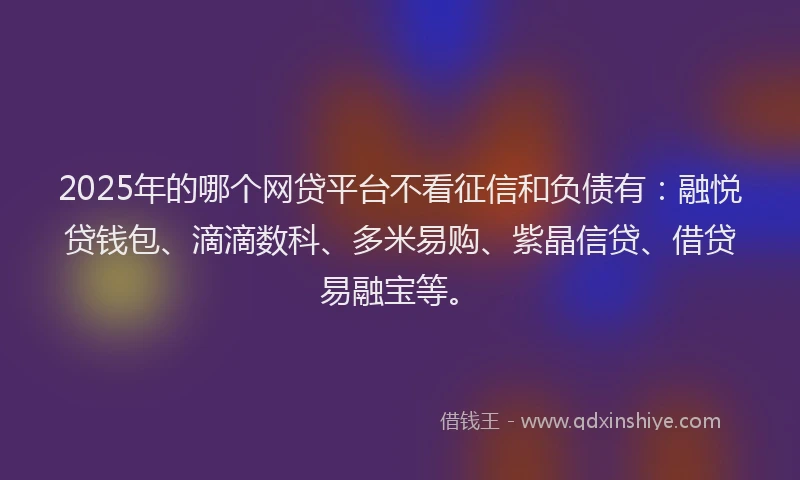 2025年的哪个网贷平台不看征信和负债有：融悦贷钱包、滴滴数科、多米易购、紫晶信贷、借贷易融宝等。