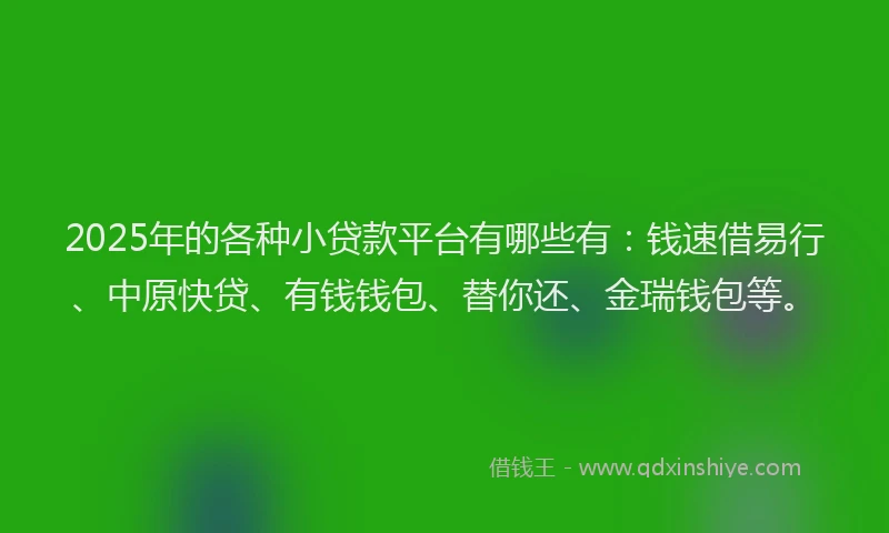 2025年的各种小贷款平台有哪些有：钱速借易行、中原快贷、有钱钱包、替你还、金瑞钱包等。