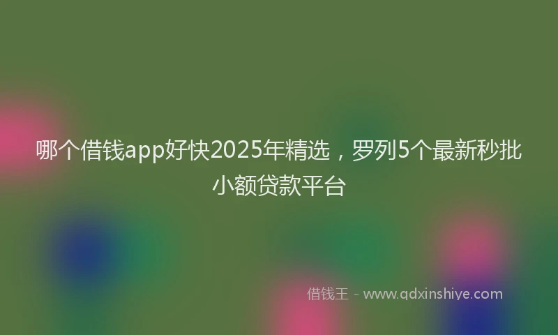 哪个借钱app好快2025年精选，罗列5个最新秒批小额贷款平台