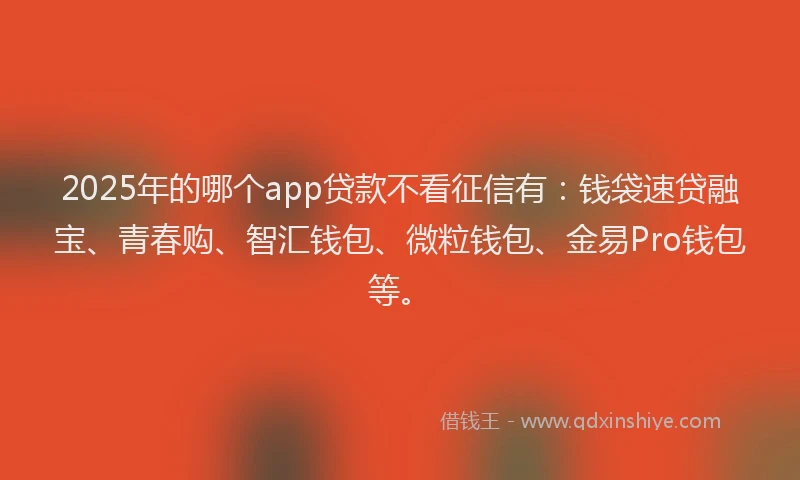 2025年的哪个app贷款不看征信有：钱袋速贷融宝、青春购、智汇钱包、微粒钱包、金易Pro钱包等。