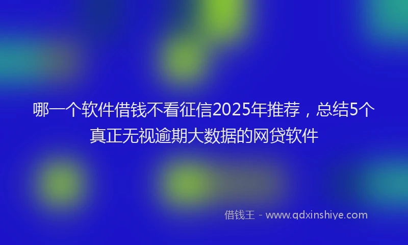 哪一个软件借钱不看征信2025年推荐，总结5个真正无视逾期大数据的网贷软件