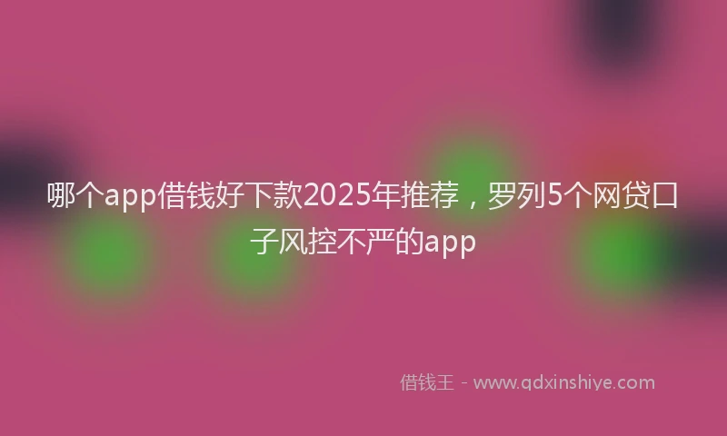 哪个app借钱好下款2025年推荐，罗列5个网贷口子风控不严的app
