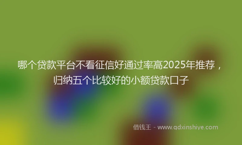 哪个贷款平台不看征信好通过率高2025年推荐，归纳五个比较好的小额贷款口子
