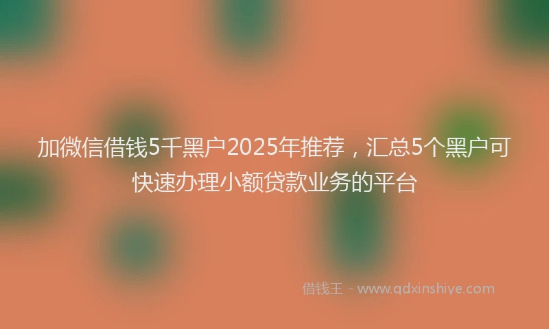 加微信借钱5千黑户2025年推荐，汇总5个黑户可快速办理小额贷款业务的平台