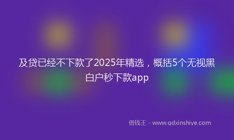 及贷已经不下款了2025年精选，概括5个无视黑白户秒下款app