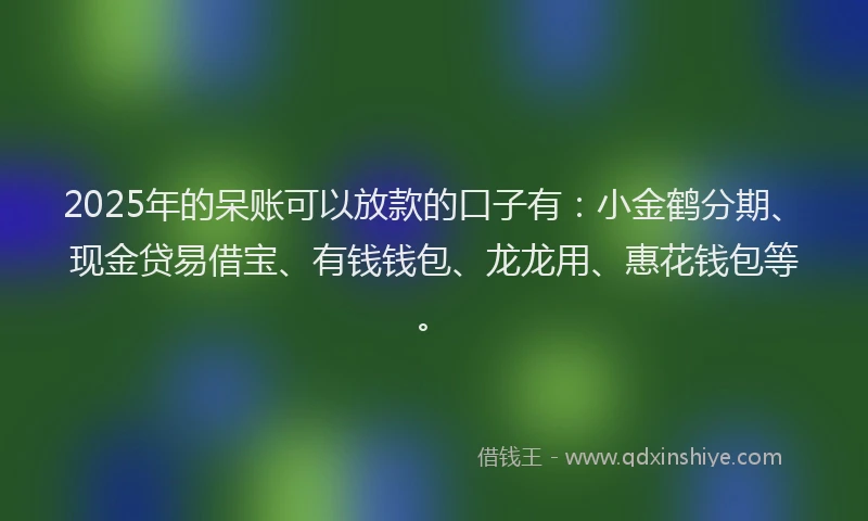 2025年的呆账可以放款的口子有：小金鹤分期、现金贷易借宝、有钱钱包、龙龙用、惠花钱包等。