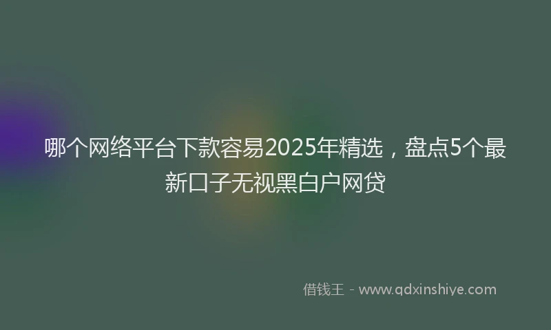 哪个网络平台下款容易2025年精选，盘点5个最新口子无视黑白户网贷
