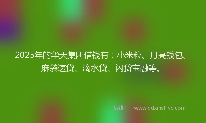 2025年的华天集团借钱有：小米粒、月亮钱包、麻袋速贷、滴水贷、闪贷宝融等。
