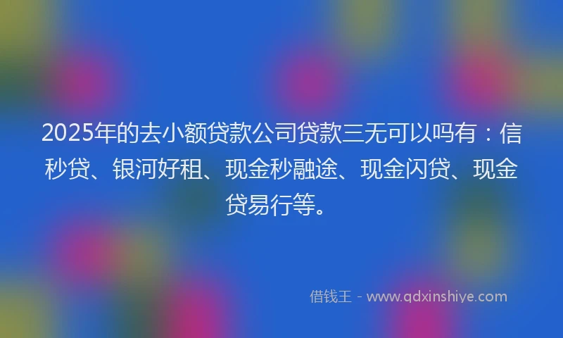 2025年的去小额贷款公司贷款三无可以吗有：信秒贷、银河好租、现金秒融途、现金闪贷、现金贷易行等。