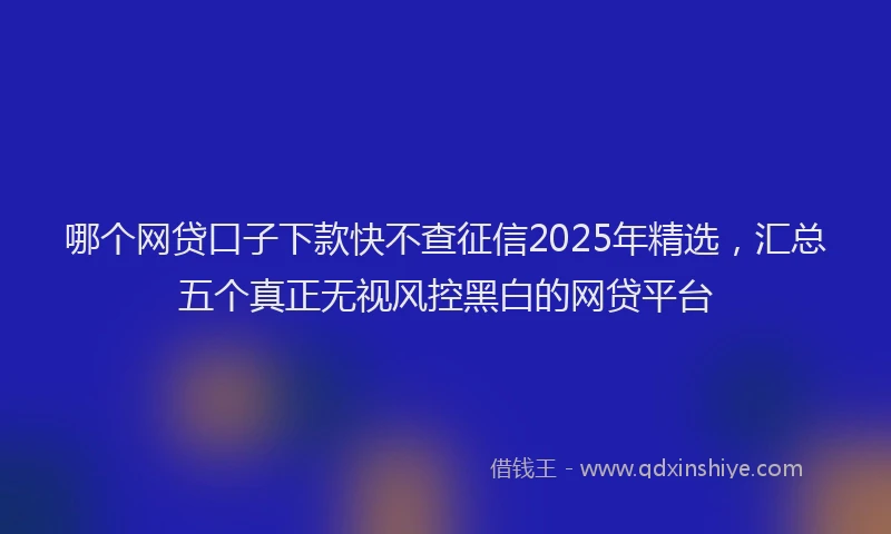 哪个网贷口子下款快不查征信2025年精选，汇总五个真正无视风控黑白的网贷平台