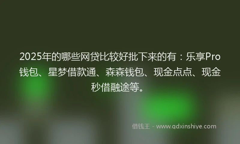 2025年的哪些网贷比较好批下来的有：乐享Pro钱包、星梦借款通、森森钱包、现金点点、现金秒借融途等。