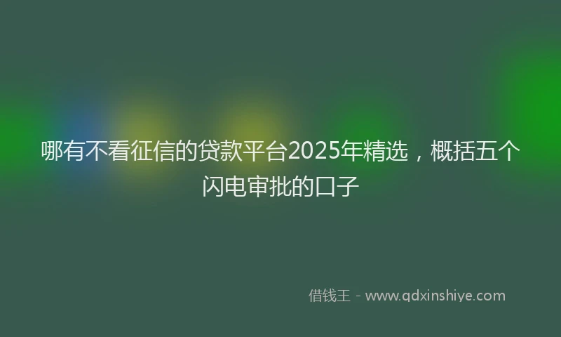 哪有不看征信的贷款平台2025年精选，概括五个闪电审批的口子