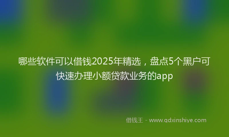 哪些软件可以借钱2025年精选，盘点5个黑户可快速办理小额贷款业务的app