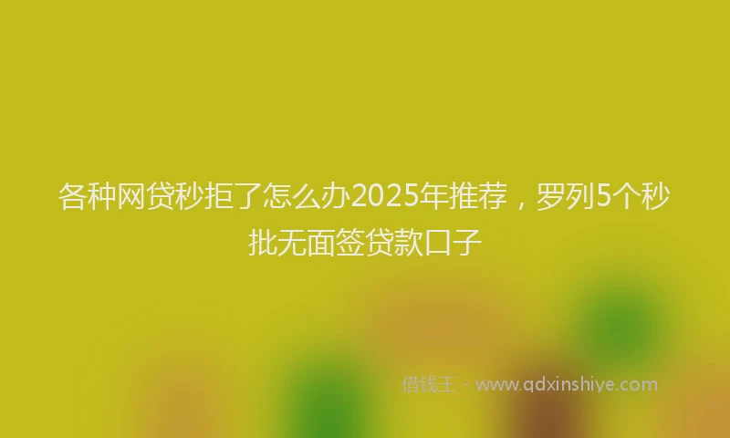 各种网贷秒拒了怎么办2025年推荐，罗列5个秒批无面签贷款口子