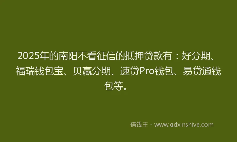2025年的南阳不看征信的抵押贷款有：好分期、福瑞钱包宝、贝赢分期、速贷Pro钱包、易贷通钱包等。