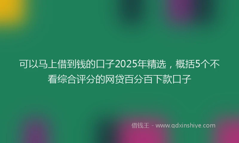 可以马上借到钱的口子2025年精选，概括5个不看综合评分的网贷百分百下款口子
