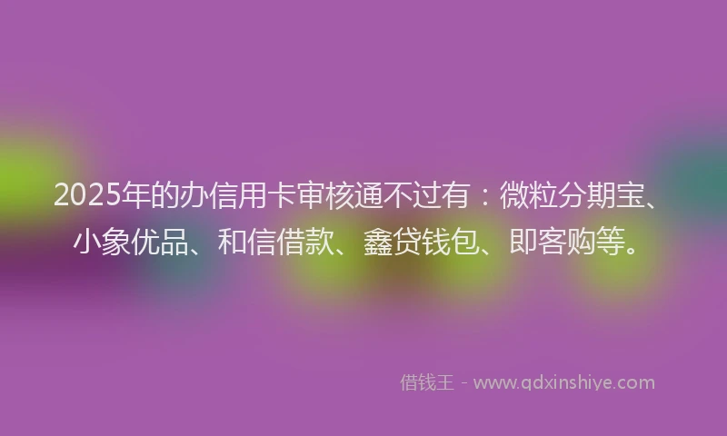 2025年的办信用卡审核通不过有：微粒分期宝、小象优品、和信借款、鑫贷钱包、即客购等。
