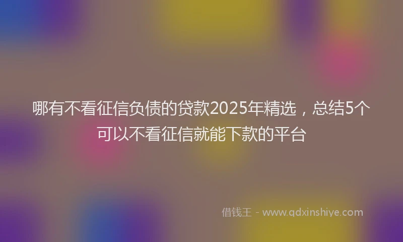 哪有不看征信负债的贷款2025年精选，总结5个可以不看征信就能下款的平台