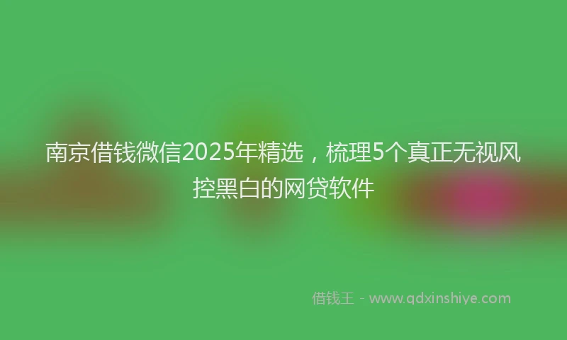 南京借钱微信2025年精选，梳理5个真正无视风控黑白的网贷软件