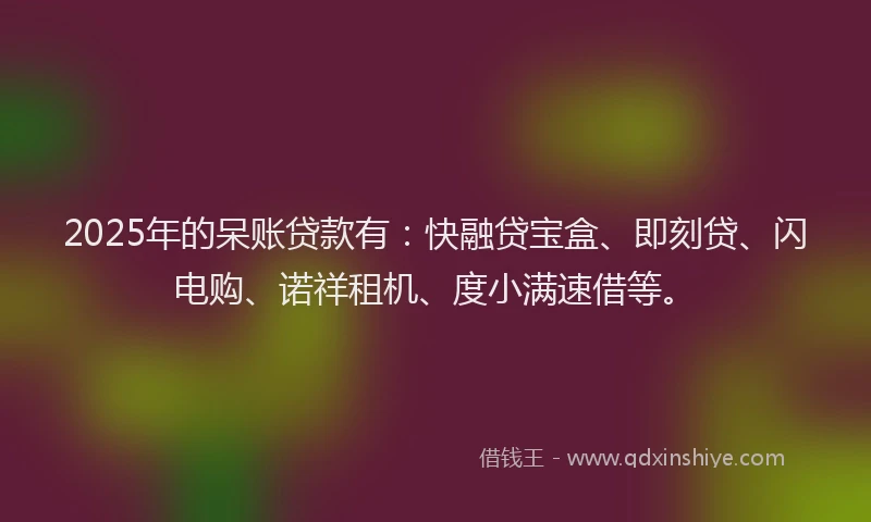 2025年的呆账贷款有：快融贷宝盒、即刻贷、闪电购、诺祥租机、度小满速借等。
