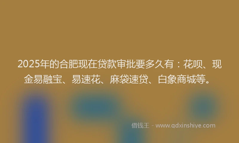 2025年的合肥现在贷款审批要多久有：花呗、现金易融宝、易速花、麻袋速贷、白象商城等。