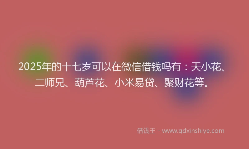 2025年的十七岁可以在微信借钱吗有：天小花、二师兄、葫芦花、小米易贷、聚财花等。