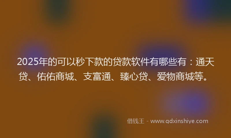 2025年的可以秒下款的贷款软件有哪些有：通天贷、佑佑商城、支富通、臻心贷、爱物商城等。