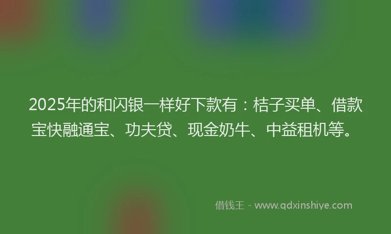 2025年的和闪银一样好下款有：桔子买单、借款宝快融通宝、功夫贷、现金奶牛、中益租机等。
