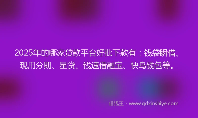 2025年的哪家贷款平台好批下款有：钱袋瞬借、现用分期、星贷、钱速借融宝、快鸟钱包等。