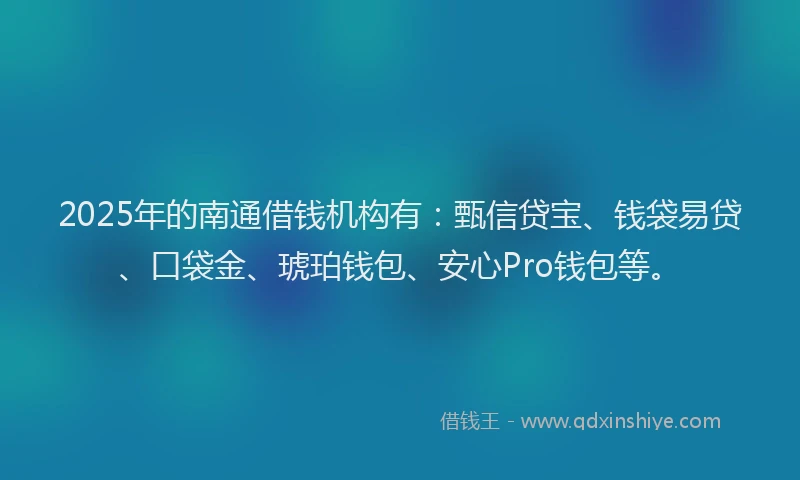 2025年的南通借钱机构有：甄信贷宝、钱袋易贷、口袋金、琥珀钱包、安心Pro钱包等。