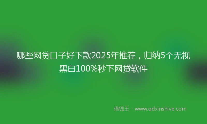 哪些网贷口子好下款2025年推荐，归纳5个无视黑白100%秒下网贷软件