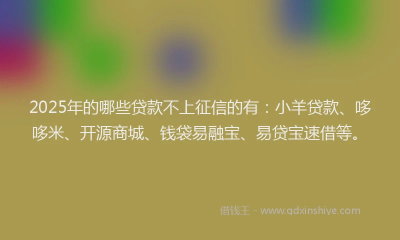 2025年的哪些贷款不上征信的有：小羊贷款、哆哆米、开源商城、钱袋易融宝、易贷宝速借等。