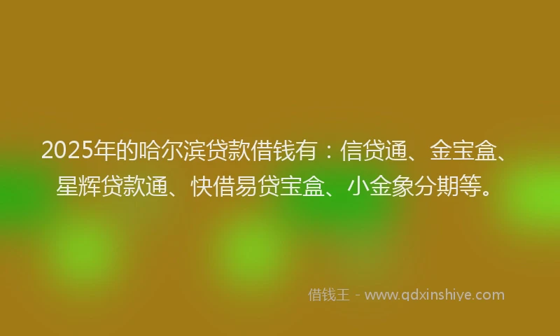 2025年的哈尔滨贷款借钱有：信贷通、金宝盒、星辉贷款通、快借易贷宝盒、小金象分期等。