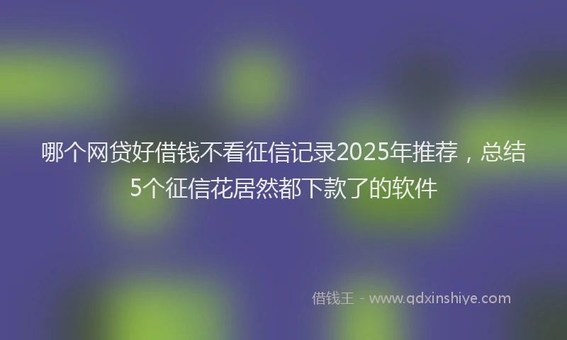 哪个网贷好借钱不看征信记录2025年推荐，总结5个征信花居然都下款了的软件