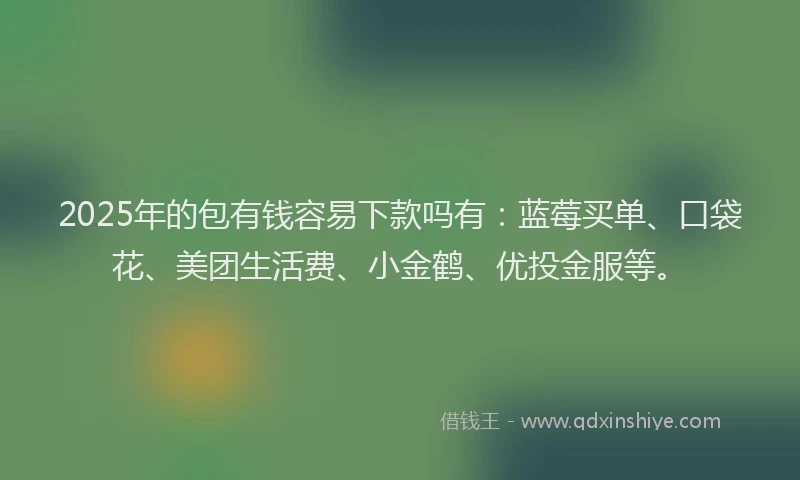 2025年的包有钱容易下款吗有：蓝莓买单、口袋花、美团生活费、小金鹤、优投金服等。
