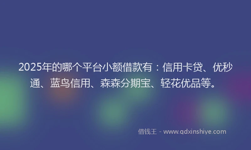 2025年的哪个平台小额借款有：信用卡贷、优秒通、蓝鸟信用、森森分期宝、轻花优品等。
