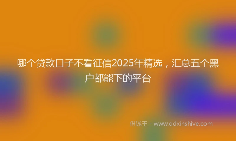 哪个贷款口子不看征信2025年精选，汇总五个黑户都能下的平台