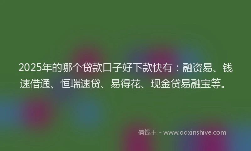 2025年的哪个贷款口子好下款快有：融资易、钱速借通、恒瑞速贷、易得花、现金贷易融宝等。