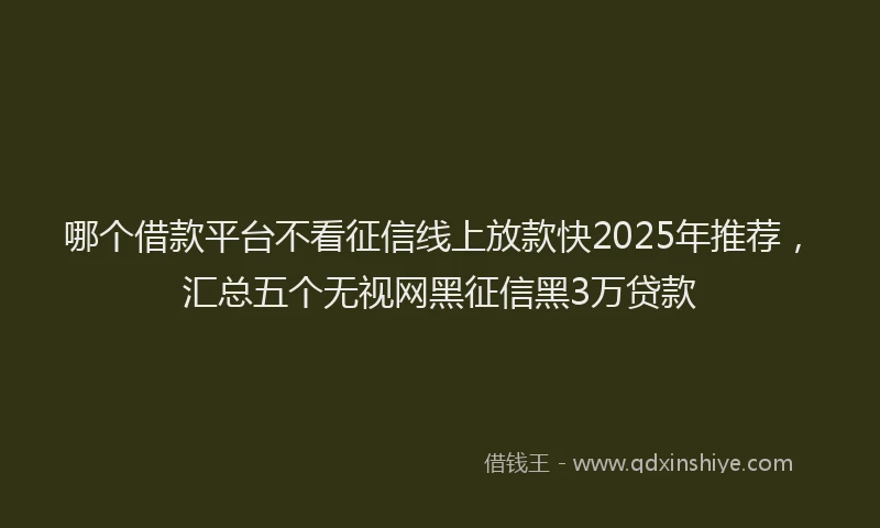 哪个借款平台不看征信线上放款快2025年推荐，汇总五个无视网黑征信黑3万贷款
