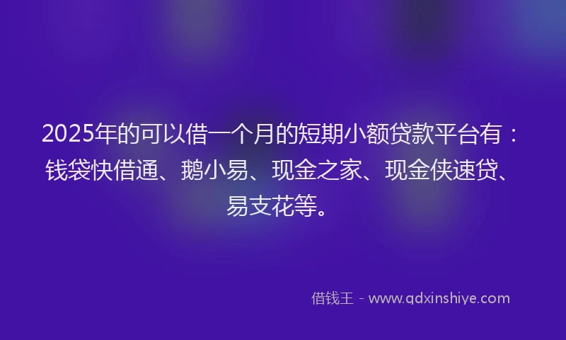 2025年的可以借一个月的短期小额贷款平台有：钱袋快借通、鹅小易、现金之家、现金侠速贷、易支花等。