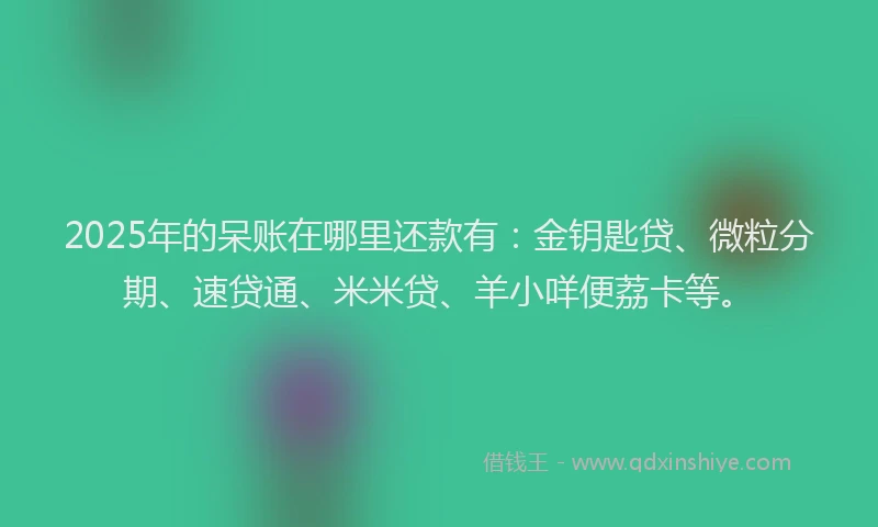 2025年的呆账在哪里还款有：金钥匙贷、微粒分期、速贷通、米米贷、羊小咩便荔卡等。