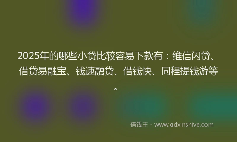 2025年的哪些小贷比较容易下款有：维信闪贷、借贷易融宝、钱速融贷、借钱快、同程提钱游等。