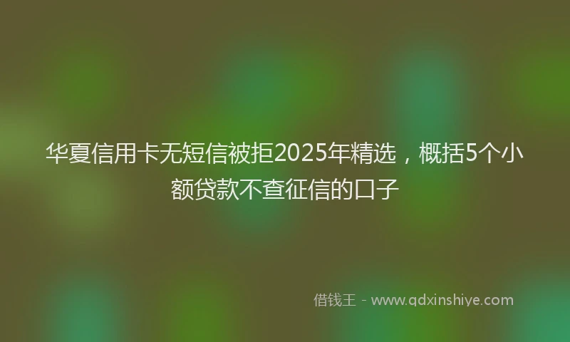 华夏信用卡无短信被拒2025年精选，概括5个小额贷款不查征信的口子