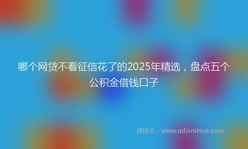 哪个网贷不看征信花了的2025年精选，盘点五个公积金借钱口子