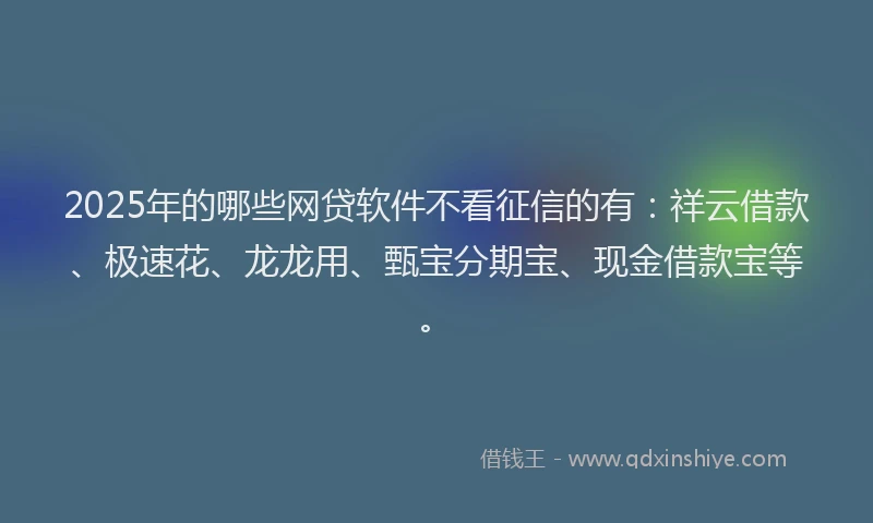 2025年的哪些网贷软件不看征信的有：祥云借款、极速花、龙龙用、甄宝分期宝、现金借款宝等。