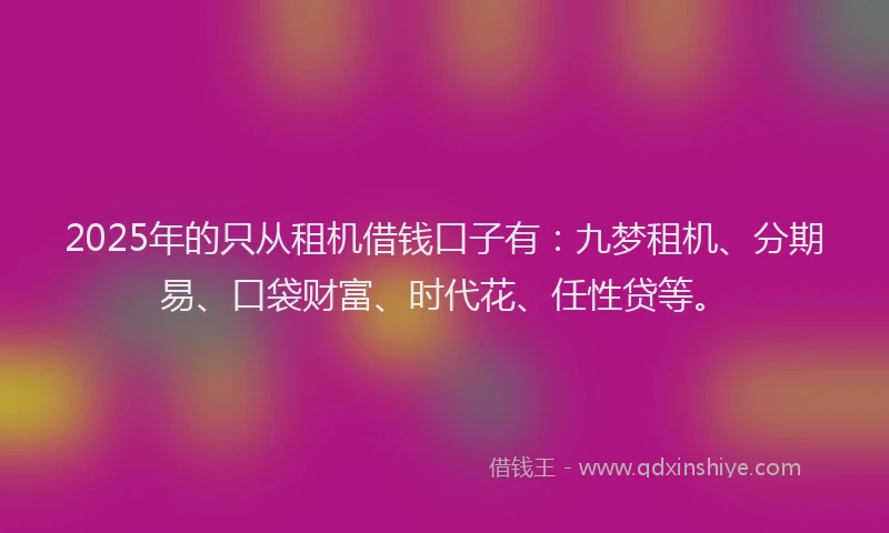 2025年的只从租机借钱口子有：九梦租机、分期易、口袋财富、时代花、任性贷等。