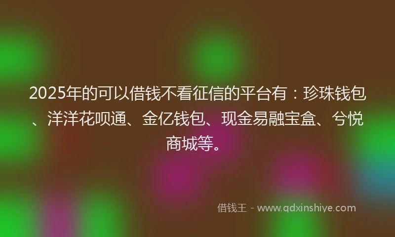 2025年的可以借钱不看征信的平台有：珍珠钱包、洋洋花呗通、金亿钱包、现金易融宝盒、兮悦商城等。