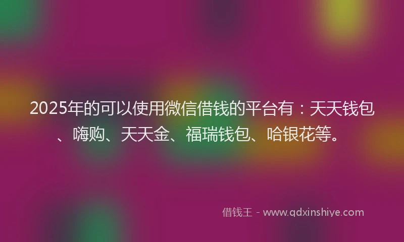 2025年的可以使用微信借钱的平台有：天天钱包、嗨购、天天金、福瑞钱包、哈银花等。
